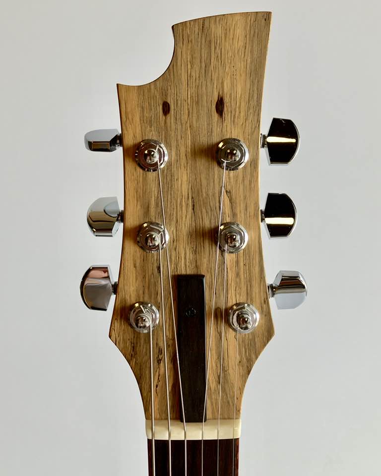 Mia Andromeda Custom Electric